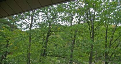 Riverside, AC, deck, pool, swimming hole, tennis. RE304 by LRS