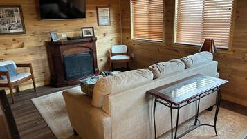 Smart TV, fireplace, DVD player, books