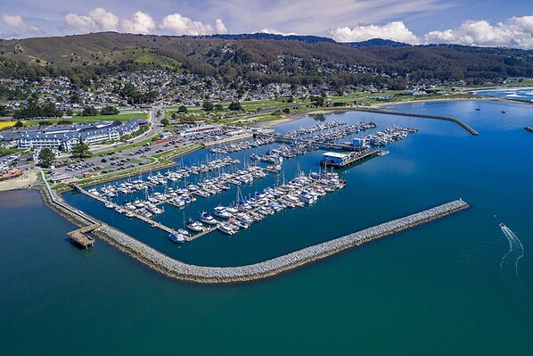 Vista aérea de un puerto deportivo con numerosas embarcaciones amarradas, rodeado de una zona residencial y colinas al fondo.