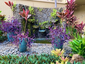 Un jardin agrémenté d’une petite cascade, entouré de différentes plantes et de rochers.