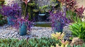 Een tuin met een kleine waterval, omgeven door verschillende planten en rotsen.