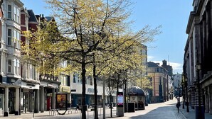 Une rue bordée d’immeubles, avec un arbre et un ciel dégagé.