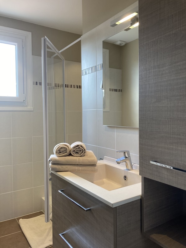 Shower, hair dryer, toilet paper