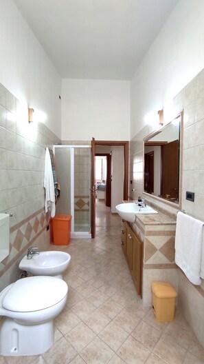 Shower, hair dryer, bidet, towels