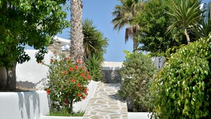 A stone pathway leading through a lush garden with white walls and red flowers. - Summer Shades (Paros)
