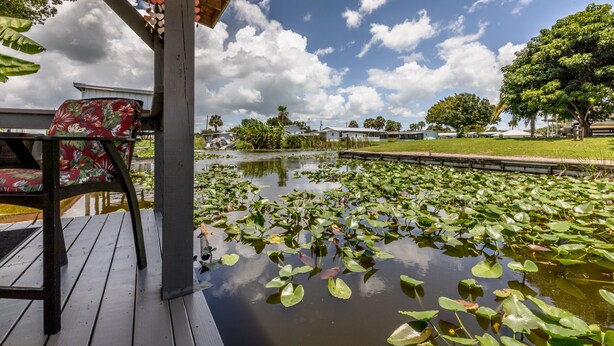 Um deck de madeira com uma cadeira, um lago com folhas de lírio e um céu limpo.