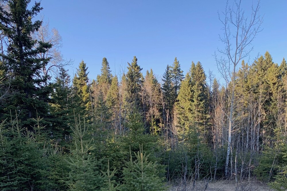Camping on private land