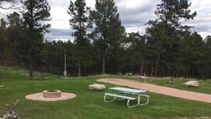 En plats för picknick med en eldstad och picknickbord, omgiven av gräs och träd.