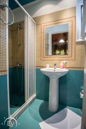 Shower, jetted bath, hair dryer, towels