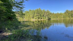 Un lago tranquilo rodeado de un bosque denso.
