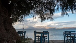 Kustlandschap met drie blauwe stoelen en een tafel onder een boom, met uitzicht op een rustige zee en verre bergen.