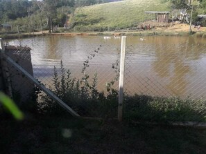 Miscellaneous - Immaculate Conception Farm (Ibiúna)