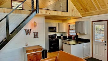 Smart TV, fireplace, DVD player, books