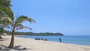 A beach with a palm tree, clear blue sky, and calm sea.