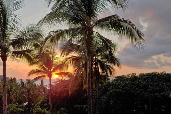 Property grounds - "Vista al Mar" ( Ocean View), 4 bedroom, 4.5 bath (Sayulita)