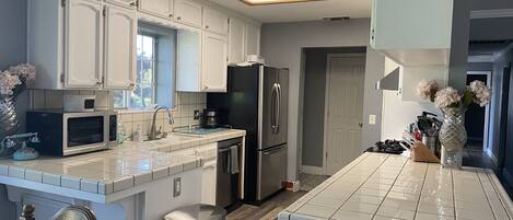 Kühlschrank, Mikrowelle, Herdplatte, Geschirrspüler