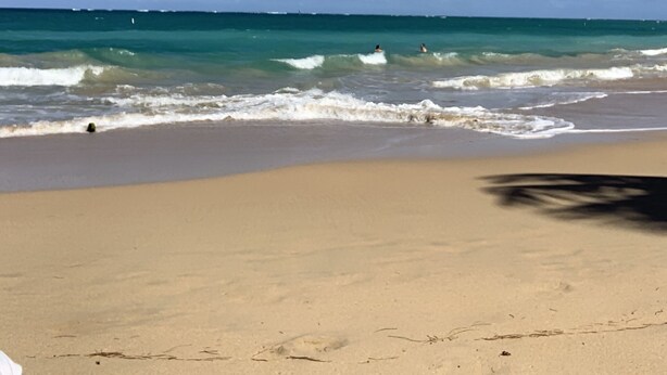 Une plage avec un ciel dégagé et des vagues calmes.