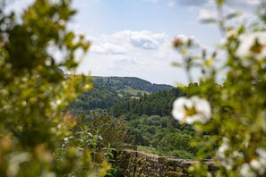Terrain de lâhĂ©bergement