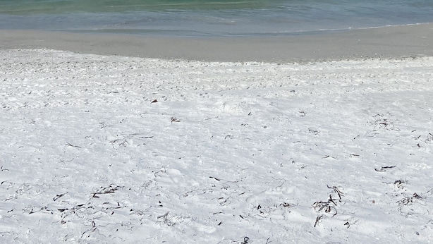 Une plage de sable blanc, bordée par une mer calme, sous un ciel nuageux.