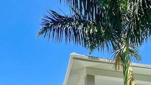 Un immeuble à plusieurs étages, à la façade blanche, doté de balcons et surmonté d’un palmier en premier plan.