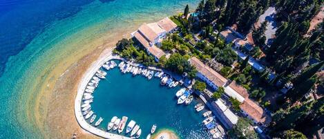 Apartment | 1 bedroom