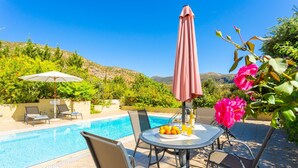House - Villa Fedra Large Private Pool Walk to Beach A C Wifi Car Not Required Eco-friendly - 1878 (Kefalonia)