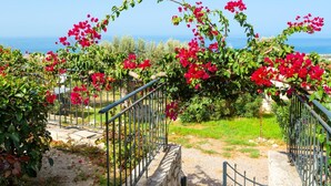 A stone staircase leading to a gate with a metal railing, surrounded by lush greenery and vibrant red flowers.