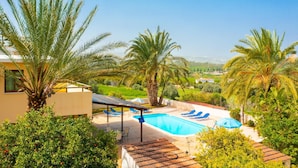 Una piscina con sillas reclinables azules, rodeada de palmeras y follaje.