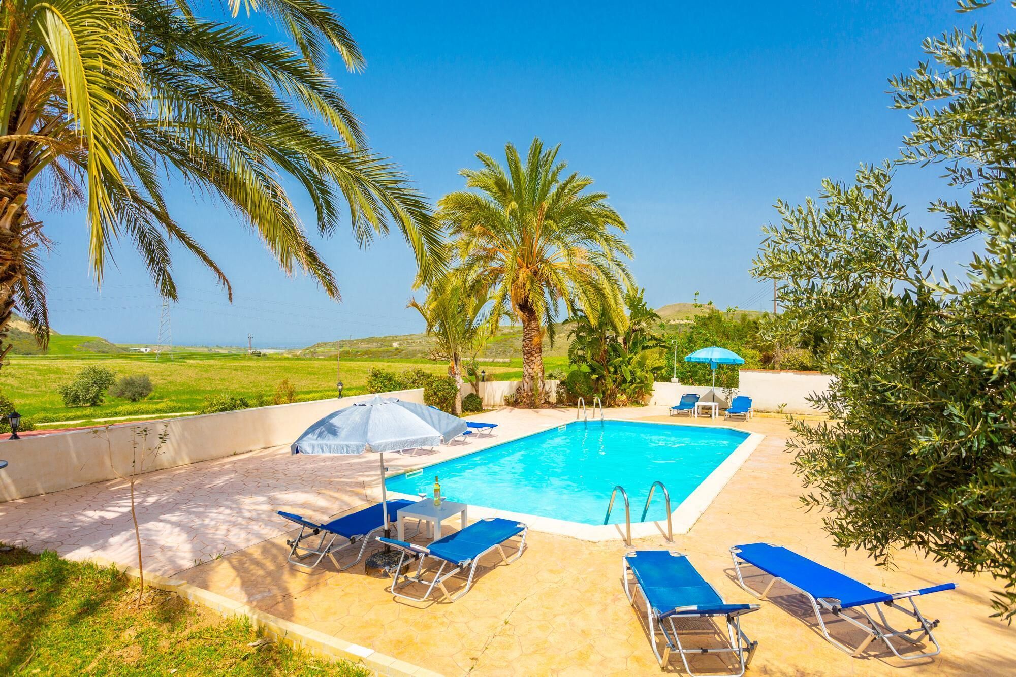 A swimming pool with blue lounge chairs and a blue umbrella, surrounded by palm trees and greenery.