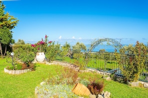 A garden with a metal gate, various plants, and a view of the sea.