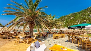 Un café situé en bord de mer, avec des meubles en bois et des palmiers.