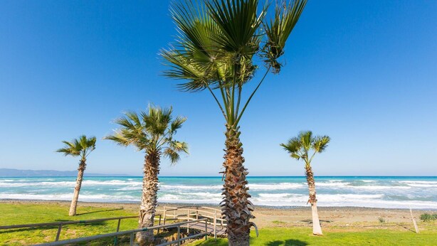 A beach with palm trees and a wooden walkway leading to the shore. - Villa Clementina Large Private Pool Walk to Beach Sea Views A C Wifi Eco-friendly - 2183 (Ayia Marina Chrysochous)