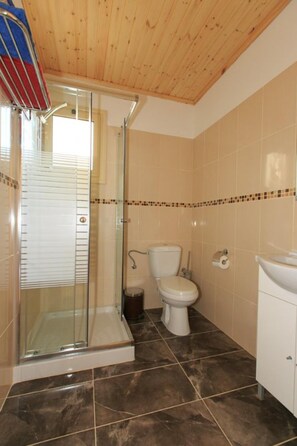 A bathroom with a glass shower enclosure, a toilet, and a sink.