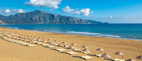 A beach with rows of sun loungers and umbrellas, a clear blue sky, and mountains in the background.