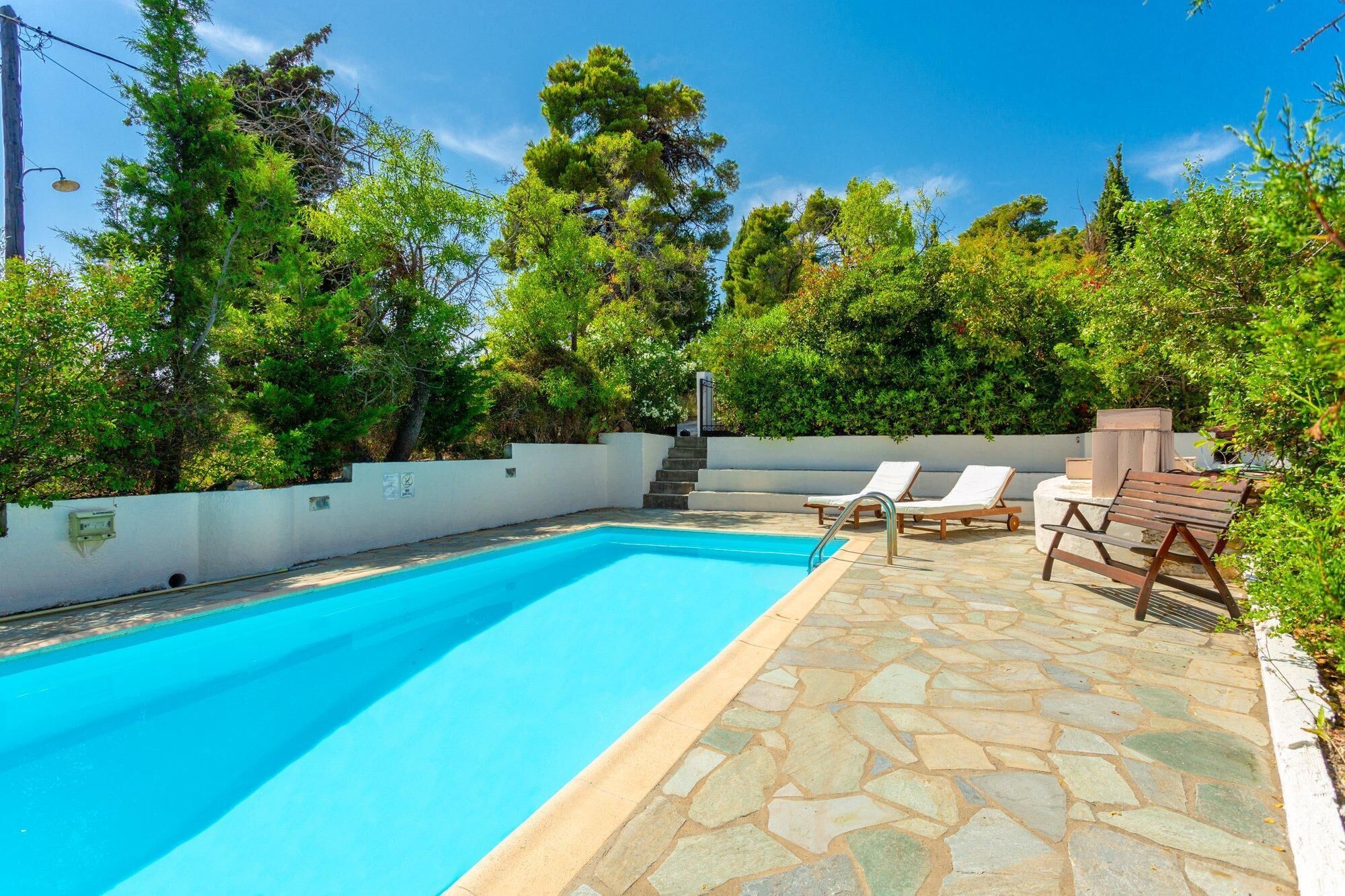 Una piscina rectangular amb una terrassa de pedra, envoltada de vegetació abundant i una paret blanca.