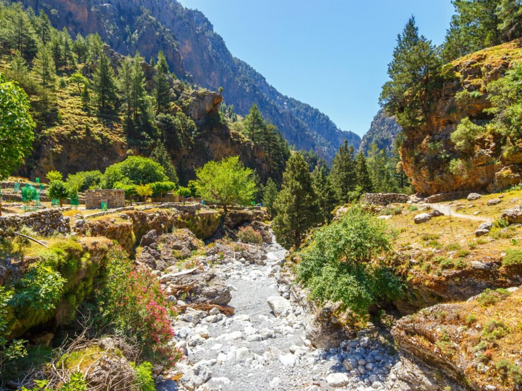 Un paysage montagneux avec une rivière, un terrain rocheux et une forêt dense.