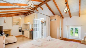 Un dormitorio amplio con una cama grande, un baño con ducha y una zona de cocina.