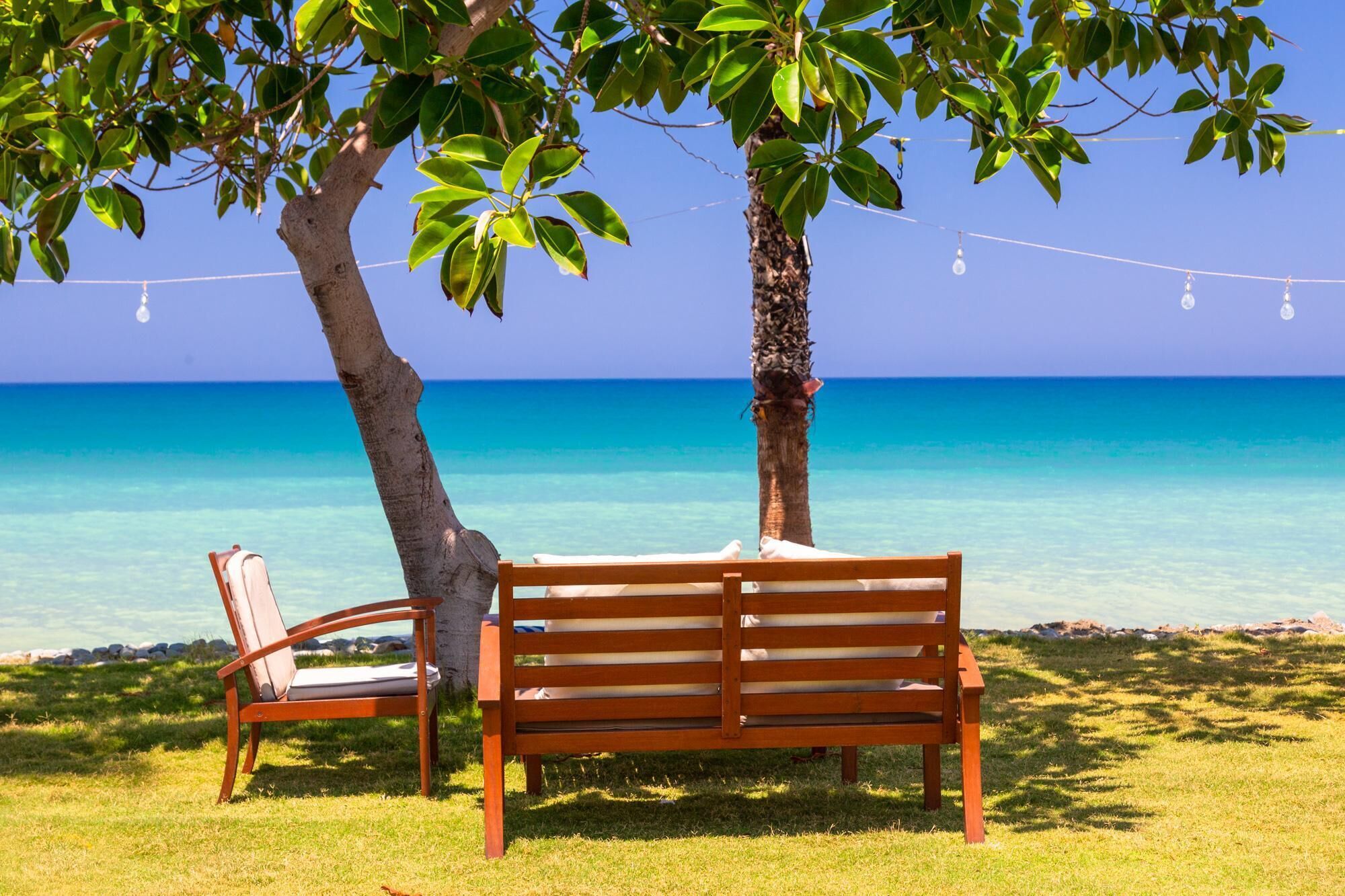 A wooden bench and chair under a tree by a clear blue sea.