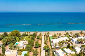 An aerial view of a coastal area with a beach, palm trees, and a row of houses with a swimming pool.