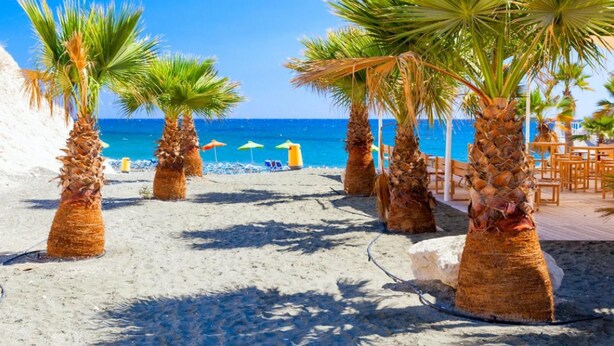 A beach with palm trees and a clear blue sky. - Villa Fortuna Large Private Pool Walk to Beach Sea Views A C Wifi Car Not Required - 2630 (Polis)