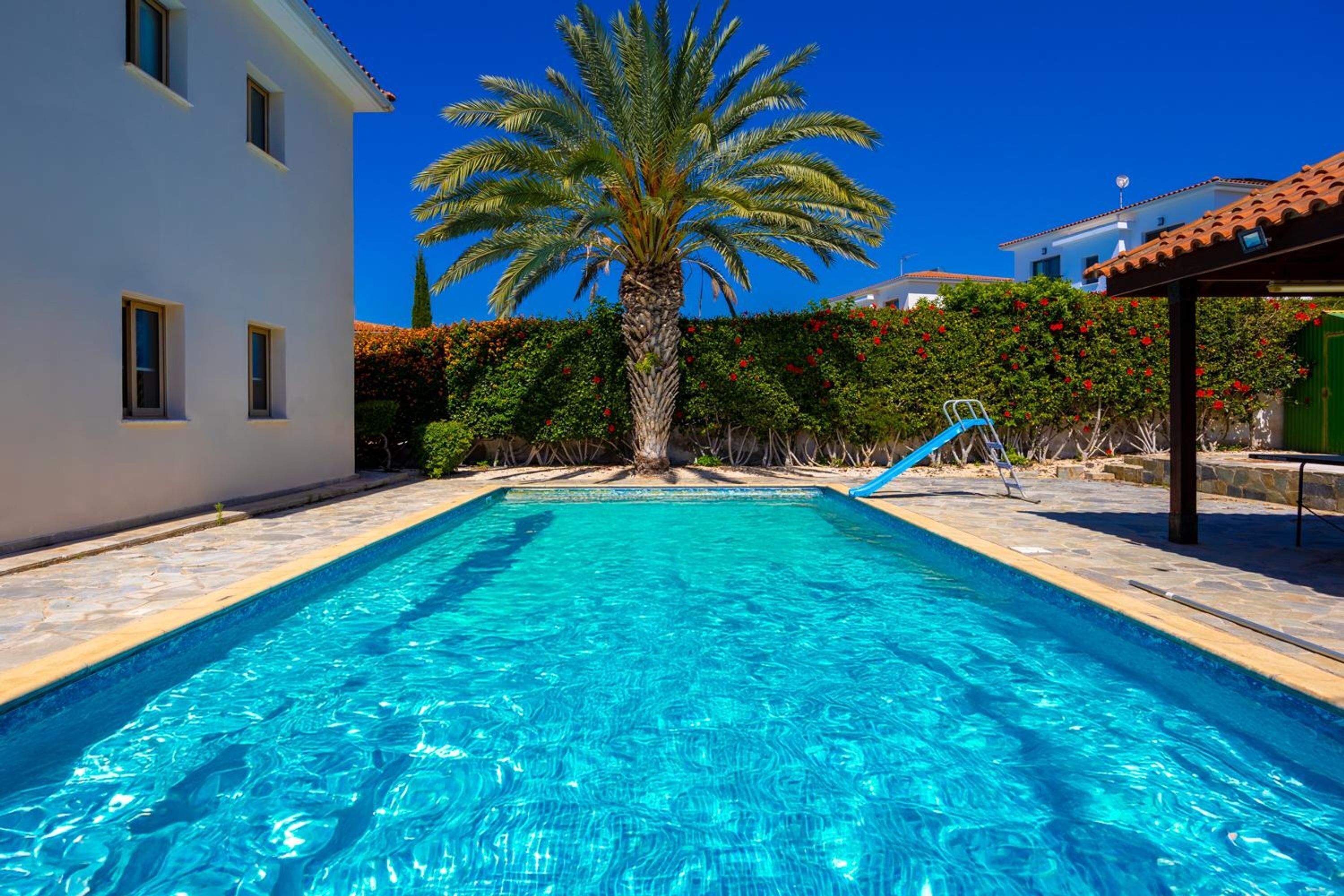 A swimming pool with clear blue water, surrounded by a white building, a palm tree, and a red flower hedge.