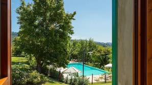 Une vue à travers une fenêtre sur une piscine entourée d’une végétation luxuriante, avec un ciel bleu clair en toile de fond.
