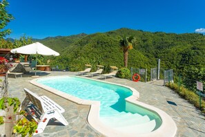 A swimming pool with lounge chairs and a palm tree, surrounded by a mountainous landscape. - Villa Casale Le Selve Large Private Pool Wifi - 3099 (Castiglione di Garfagnana)