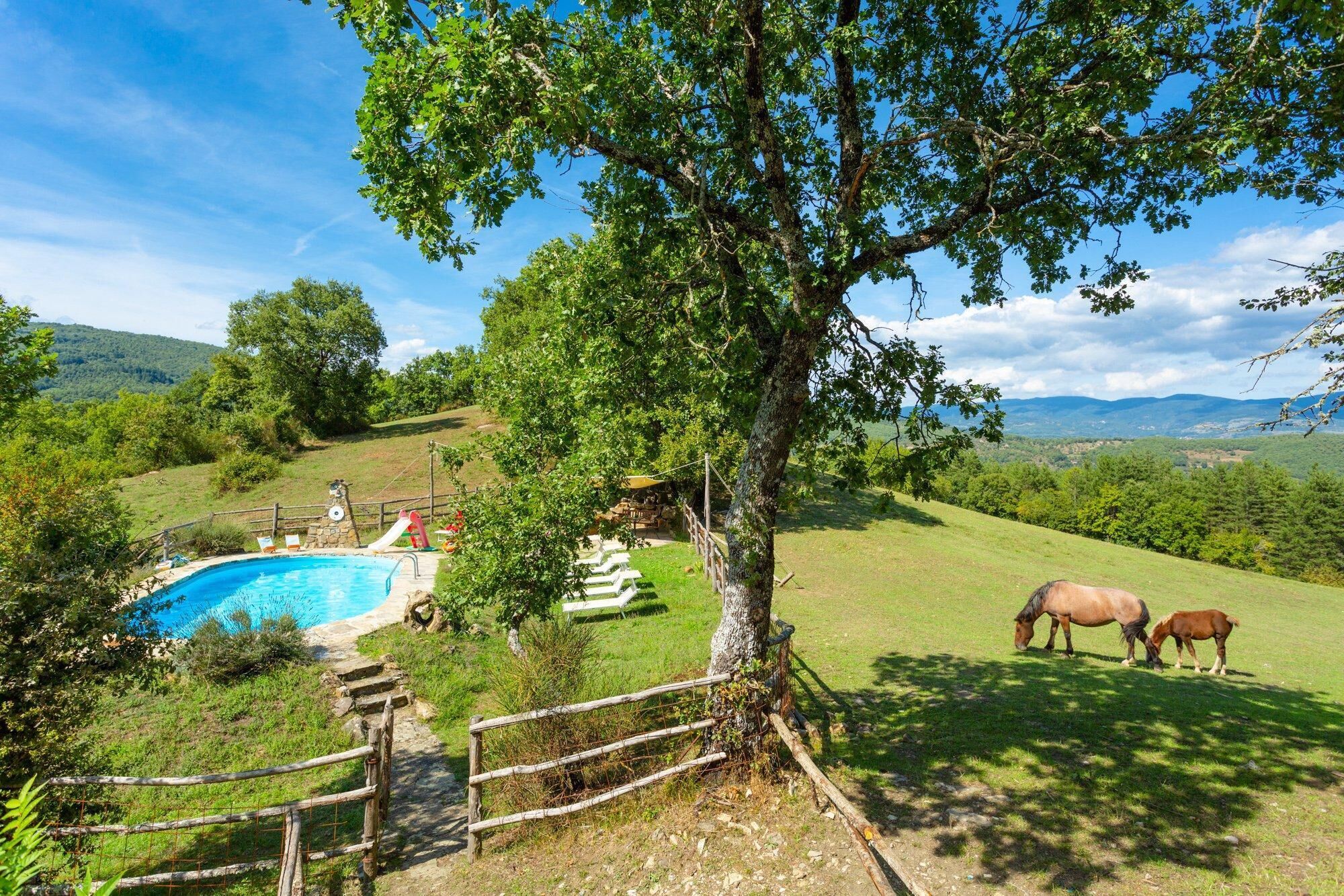 A pool surrounded by a wooden fence, a tree, and a grassy area with horses.
