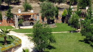 Ein angelegter Garten mit einem Kiesweg, Palmen und einem rustikalen Gebäude mit Steinfassade.