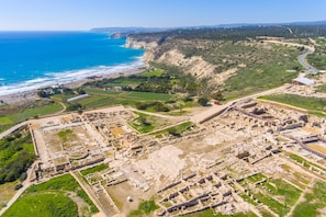 An aerial view of an ancient archaeological site with ruins, pathways, and a coastal backdrop.