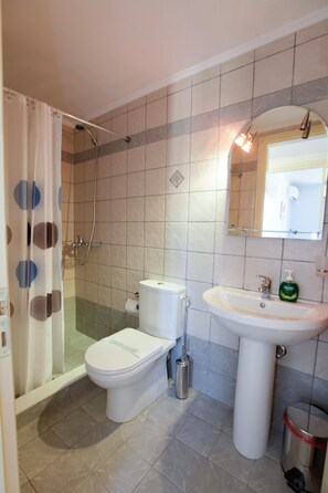 A bathroom with a shower, toilet, sink, and a mirror. - Nafsika Beach House Large Private Pool Walk to Beach Sea Views A C Wifi Car Not Required - 1880 (Kefalonia)