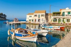 House | 2 bedrooms, WiFi - Villa Alexandros Swimming Pool Walk to Beach A C Wifi - 3454 (Paxos)