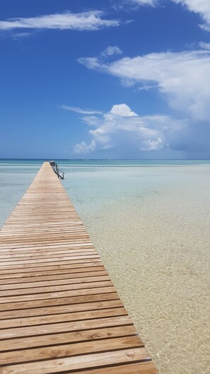 Camastros y toallas de playa 