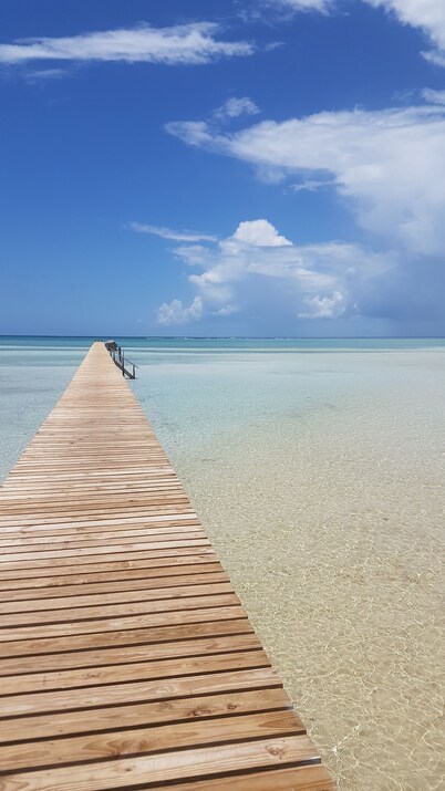 Quiet Island Cottage-fishing/shelling/beaching/2 kayaks included